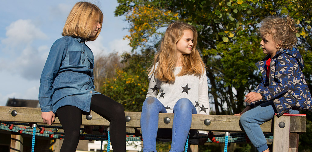 Kinderen op speeltoestel