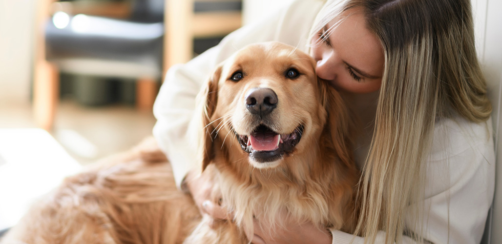 De rol van een huisdier bij huiselijk geweld