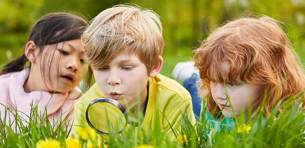 kinderen liggen in het gras met vergrootglas - Actueelbericht: Webinar Veerkrachtlab - Wat hebben wetenschap en praktijk aan elkaar?