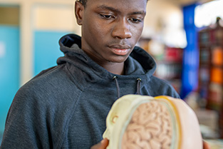 Wat een burn-out met je brein doet en wat je ervan kunt leren