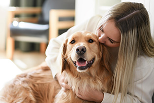 De rol van een huisdier bij huiselijk geweld