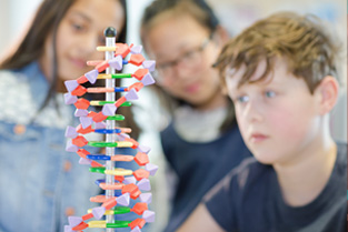 De werking van DNA kan veranderen door jeugdtrauma’s