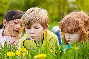 Actueelbericht: Webinar Veerkrachtlab - Wat hebben wetenschap en praktijk aan elkaar?