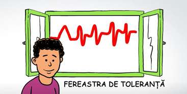 Window of tolerance roemeens