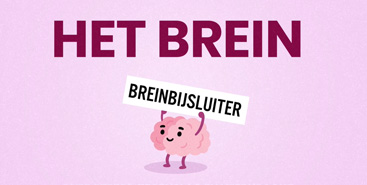 Breinbijsluiter